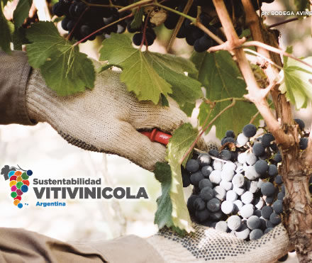 https://agsustentable.com/wp-content/uploads/2019/11/directriz_reportes_sustentabilidad_industria_vitivinicola-440x371.jpg