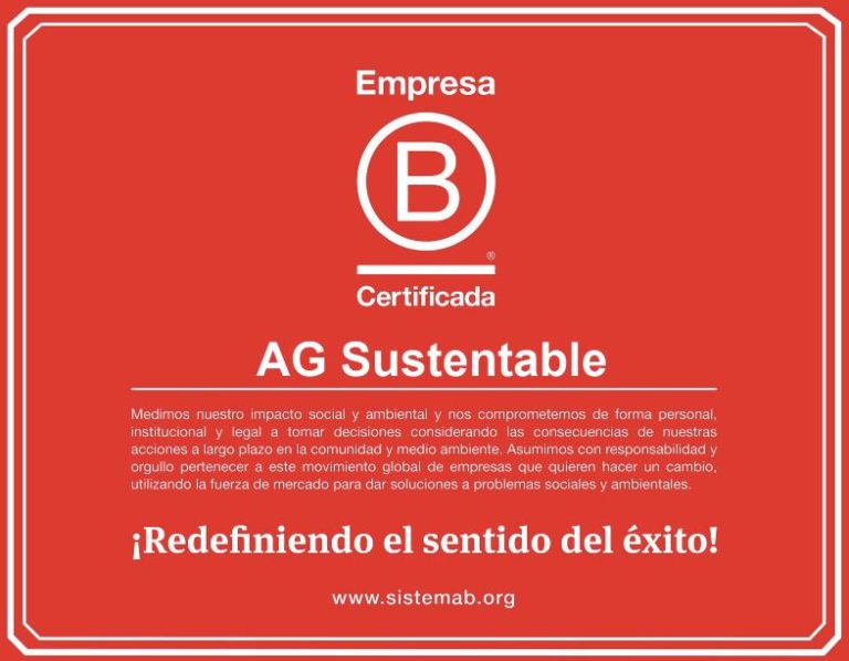 Somos Parte De Las 29 Empresas Certificadas B En 2020 – AG Sustentable